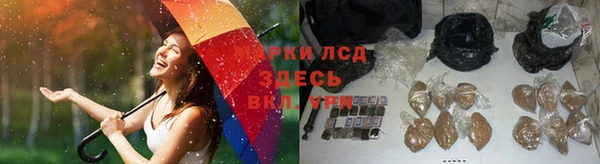 мяу мяу мука Аркадак