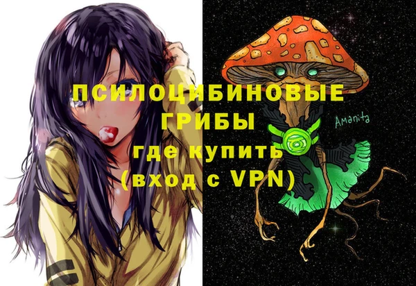 мяу мяу мука Аркадак