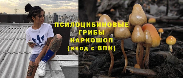 мяу мяу мука Аркадак