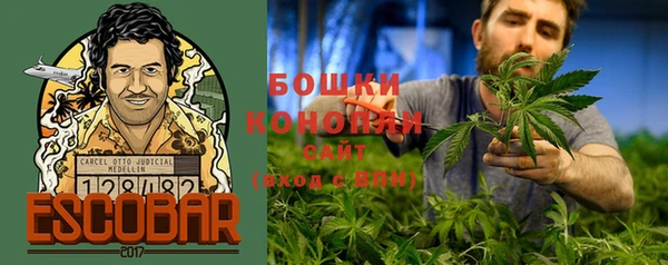 дмт Арсеньев