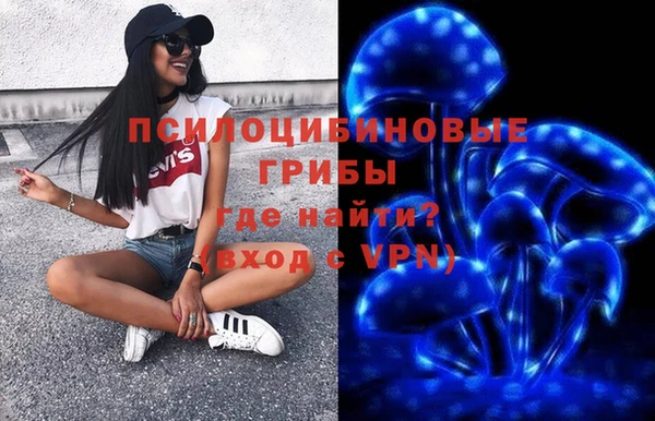 мяу мяу мука Аркадак