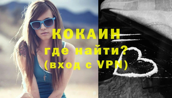 мяу мяу мука Аркадак